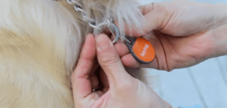 Изображението показва спецификации на RFID медальони за домашни любимци, включително материал, честота и чипове.