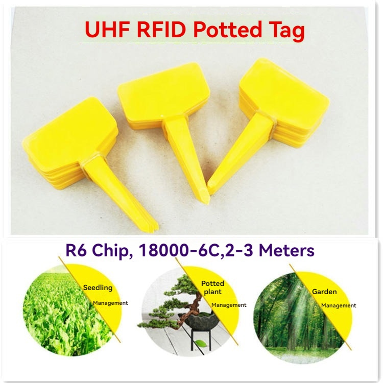 Използване на RFID тагове SV-012 за ефективно външно проследяване на фиданки и дървета.