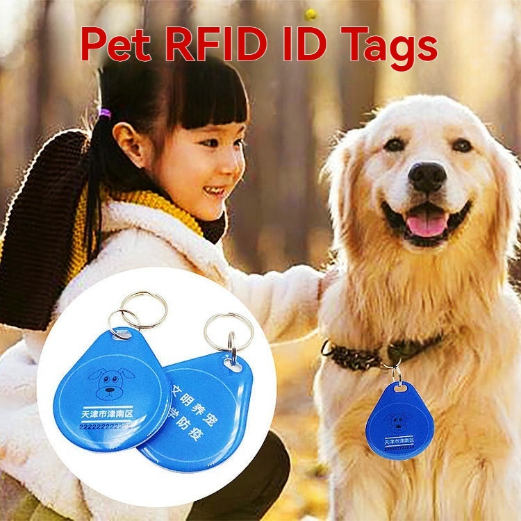 Система с RFID тагове за ефективно цифрово управление на данни за домашни любимци, включително порода, възраст и ваксинационни записи.